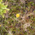DSCN0270